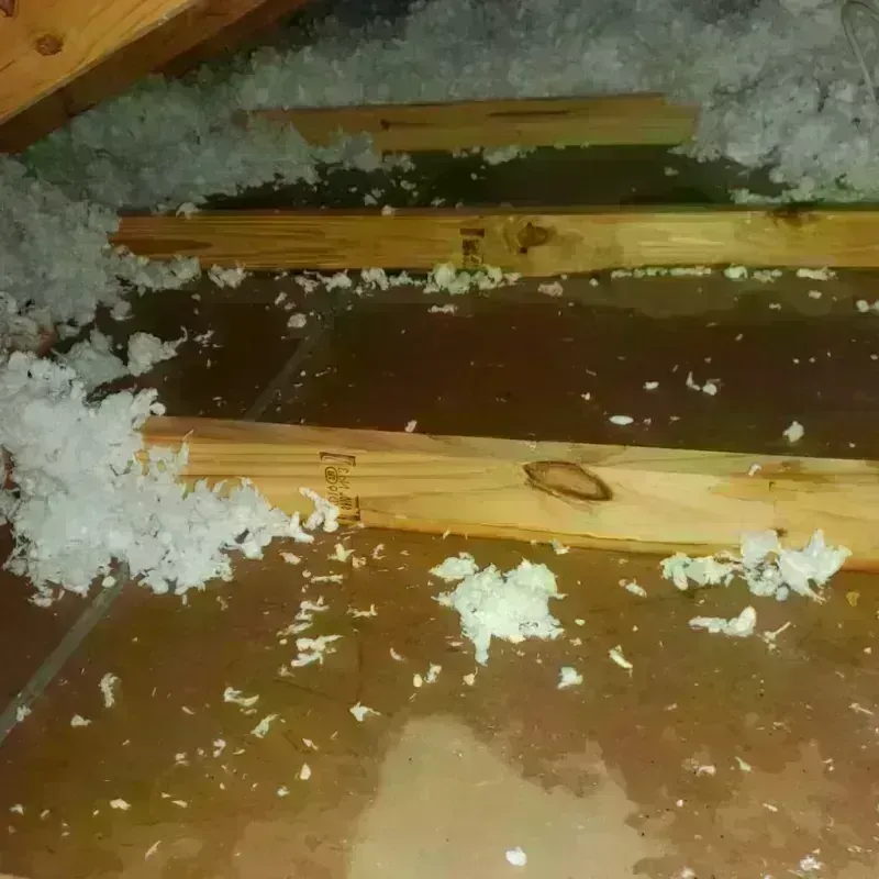 Attic Water Damage in The Hideout, PA